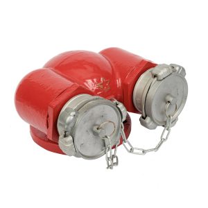 Họng tiếp nước chữa cháy 2 cửa DN65 Ø65mm