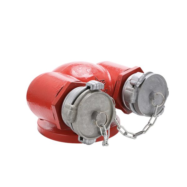 Họng tiếp nước chữa cháy 2 cửa DN65 Ø65mm - Ảnh 3