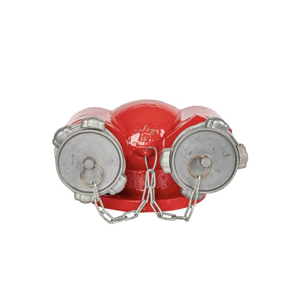 Họng tiếp nước chữa cháy 2 cửa DN65 Ø65mm - Ảnh 2