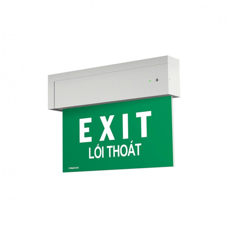 Den exit am tran