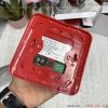 Địa chỉ nơi bán còi đèn báo cháy 24V MPF-04 uy tín tại TPHCM